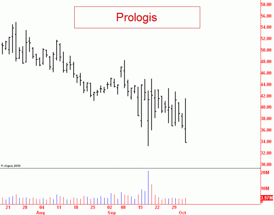 pld105 Click to Enlarge