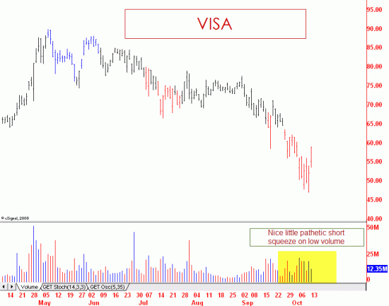 visa1013 Click to Enlarge