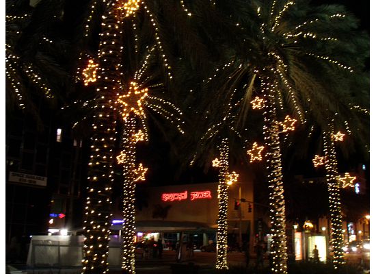 miamistars Did you have a good world when you died? Enough to base a movie on? -<em>Jim Morrison</em>